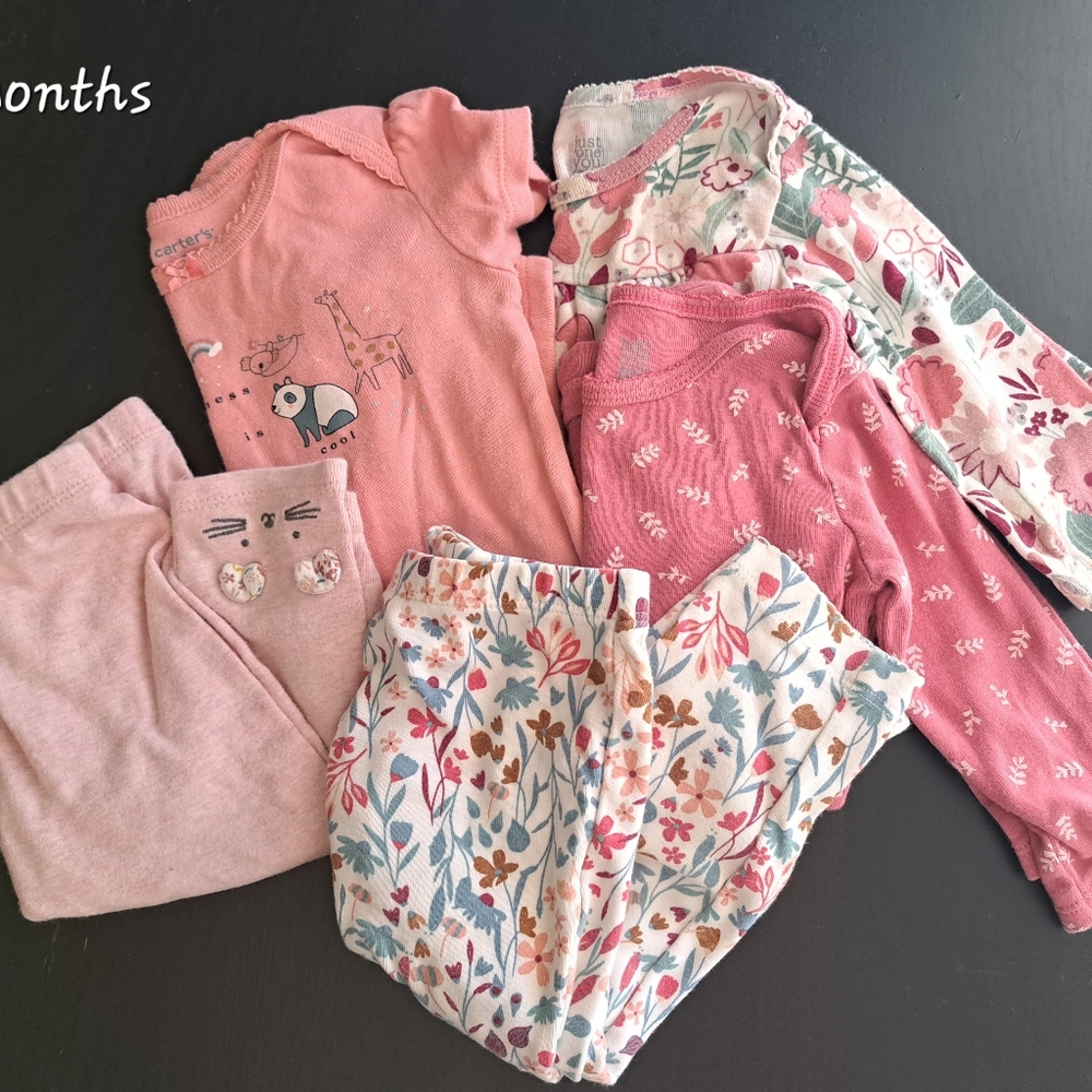 Girls clothing lot size 9 months